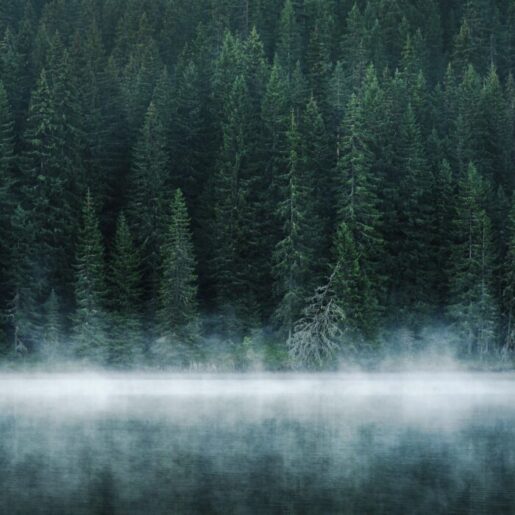 Still foggy lake with soft mist, offering a sense of calm and grounding,