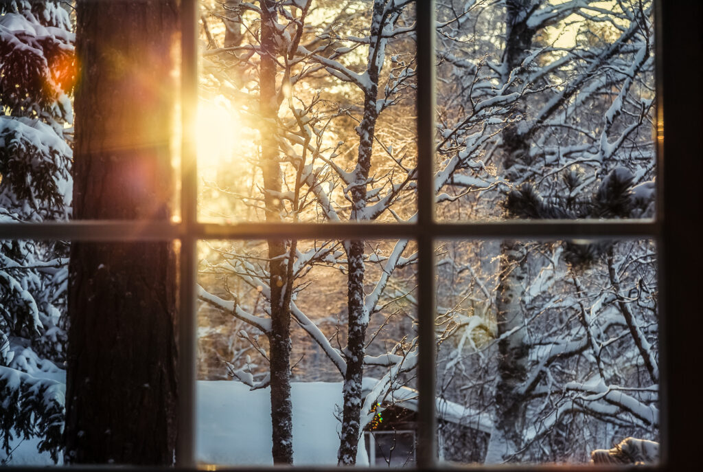 Soft winter light through a window overlooking snow, symbolizing quiet moments of rest and nervous system regulation during the holiday season.