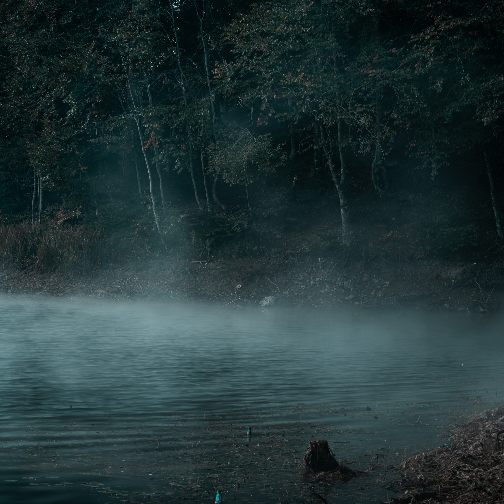 Foggy autumn lake at Bozcaarmut Lake in Bilecik, Turkey symbolizing calm and healing in trauma therapy in Calgary